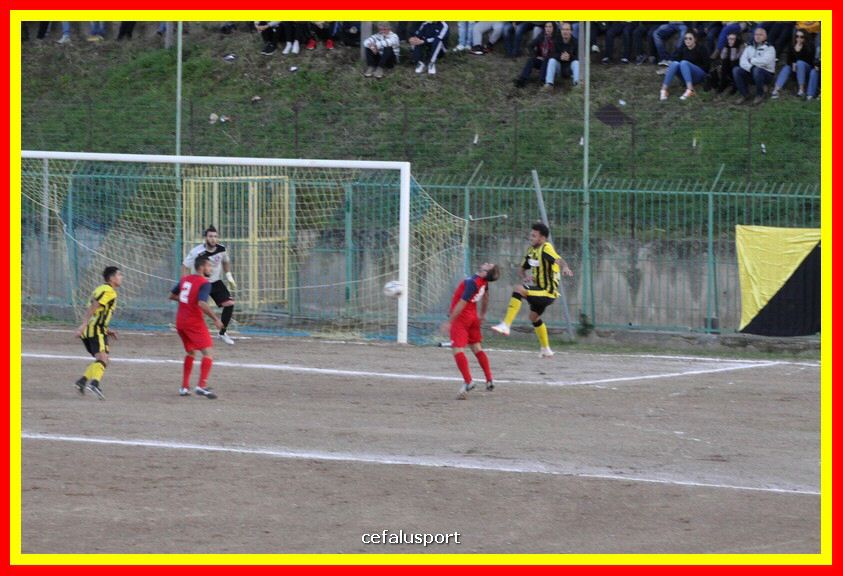 181111 Cepha_Milazzo 225_tn.JPG